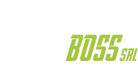Grupo Boss
